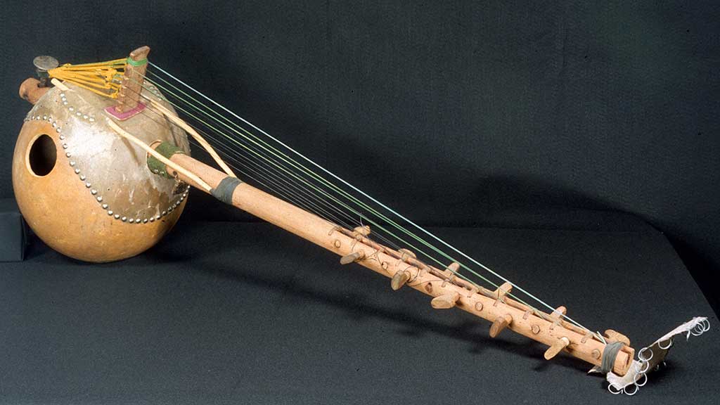 closeup of the hollow spherical soundbox of a stringed instrument