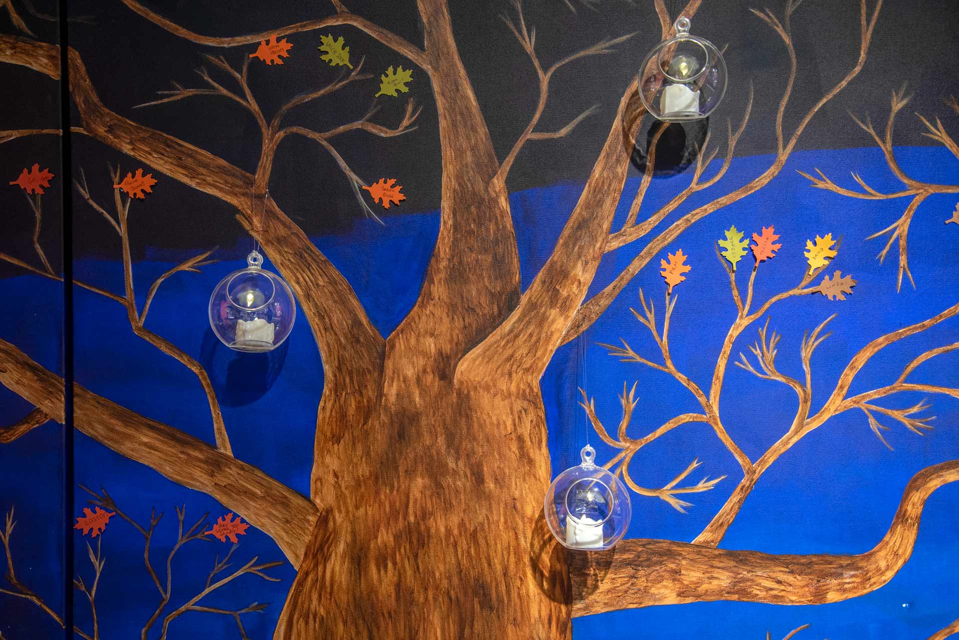 Close-up of the clear round containers attached to a painging of a tree