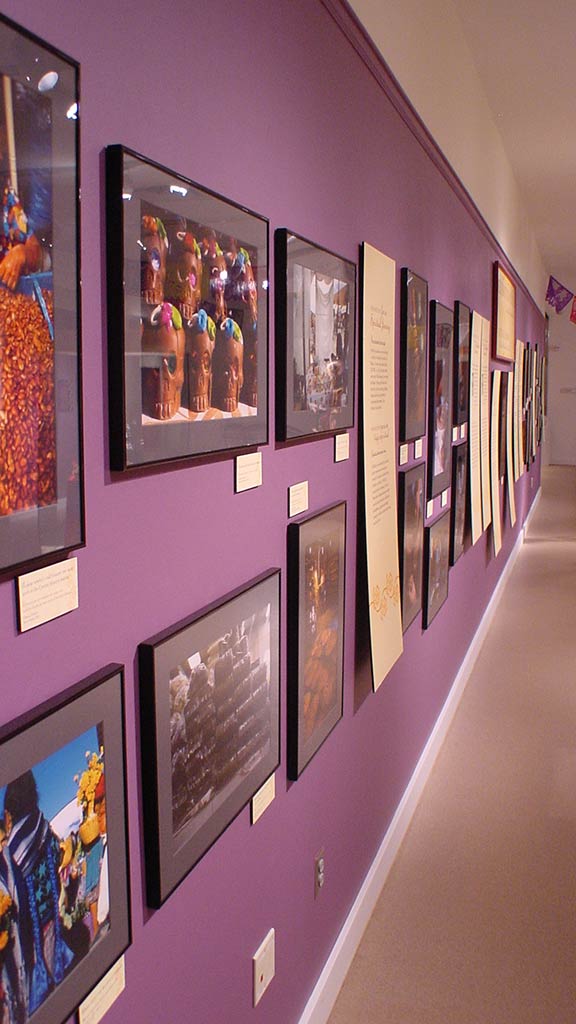 side view of photos hung on the purple wall