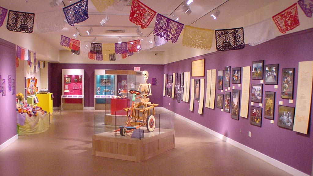 gallery overview with the different pictures on walls and artifacts like the skeleton model