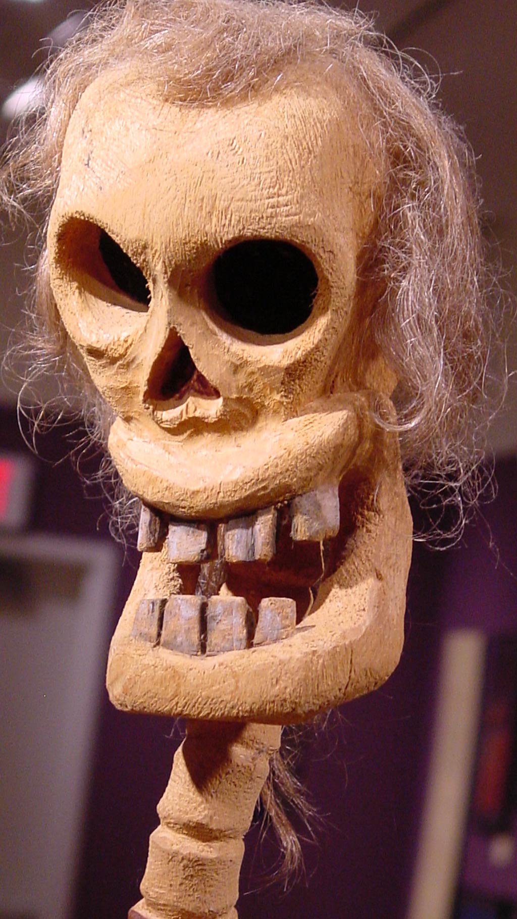 head of the skeleton, big teeth and vertically elongated head