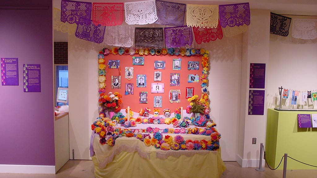 photo wall, flowers around