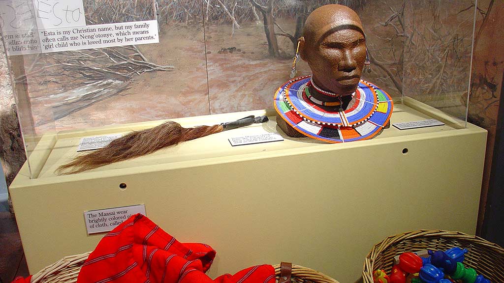 brown bust, fringe