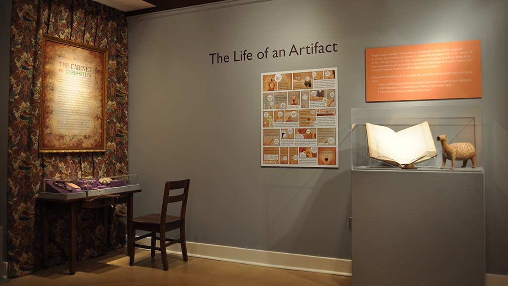 chair and table on one wall, a book and animal in a display case on the other wall with the text 'the life of an artifact'