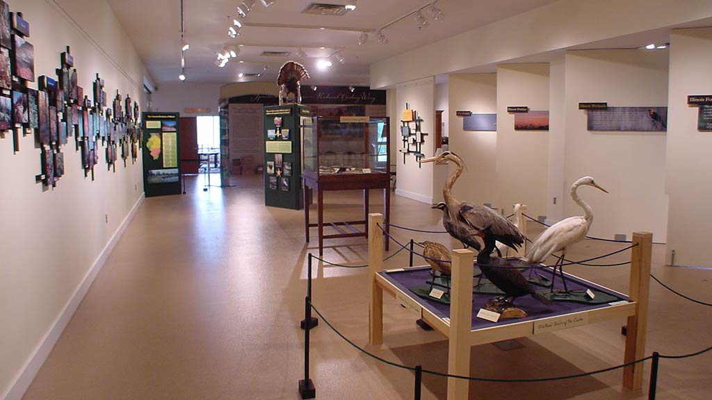 gallery shot containing photos and cranes