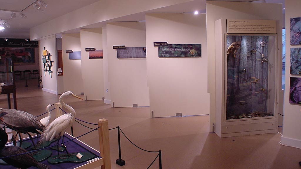 text descriptions along with images on the wall