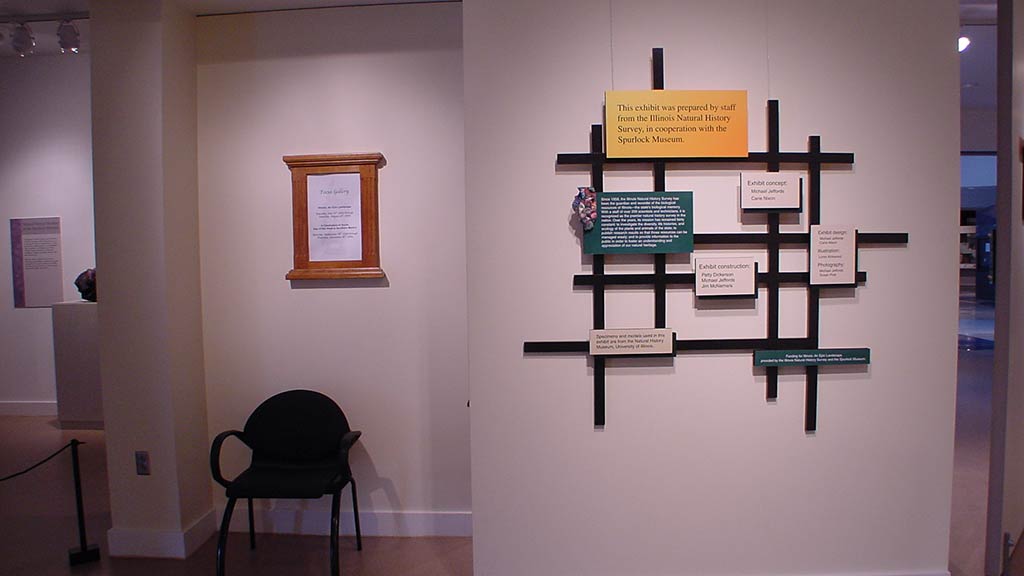 photos of additonal related text