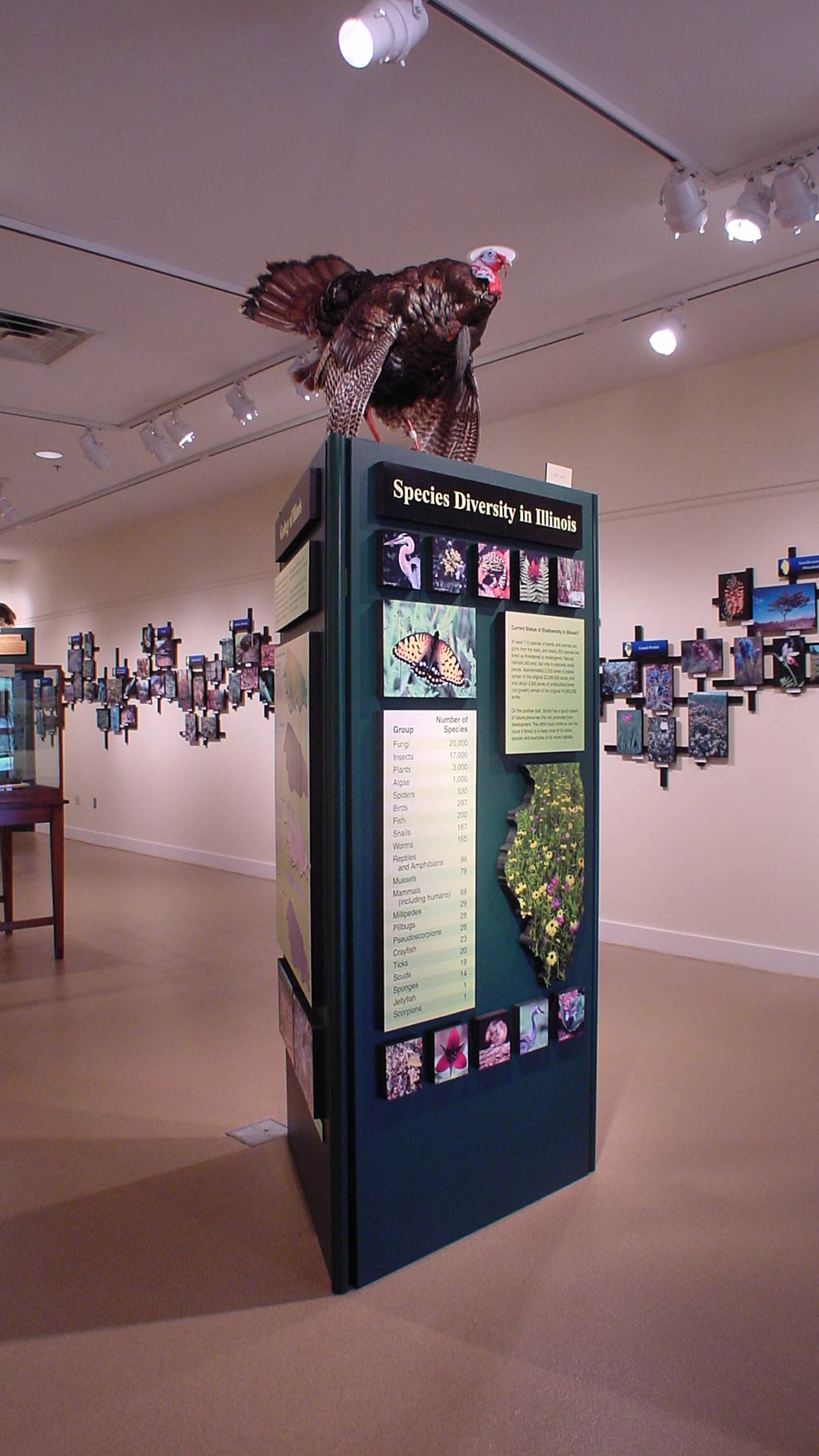 a side view of the 'species diversity in Illinois' pillar