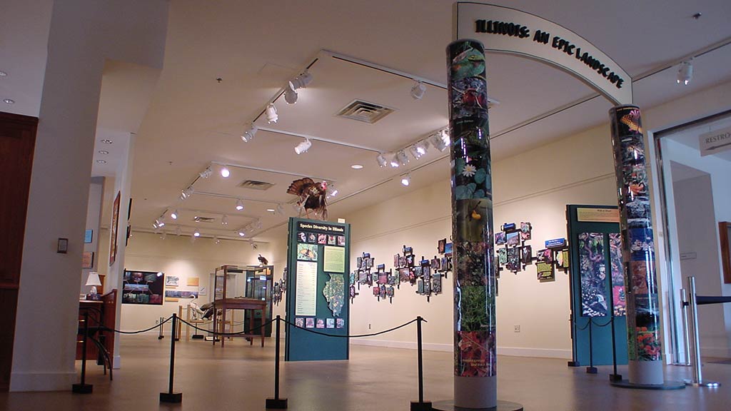 gallery entrance view with a small archway reading 'illinois: an epic landscape'