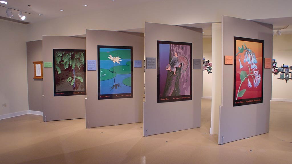 another angle of the large photos of plants
