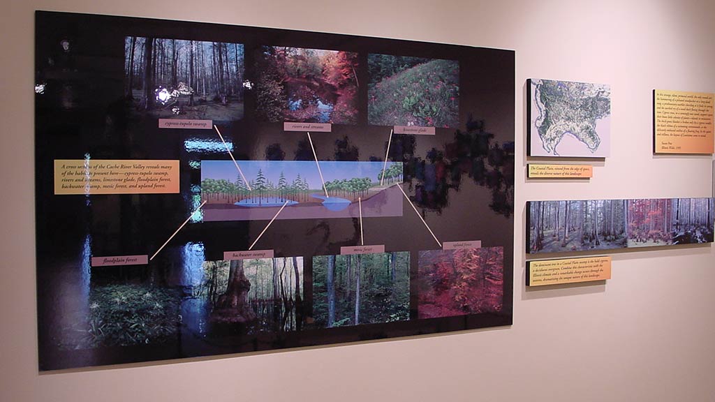 photos of the forest with text and lines drawn to them