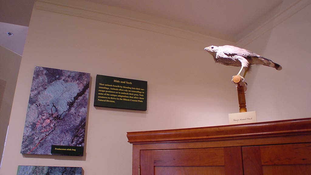 picture of a bird and some text