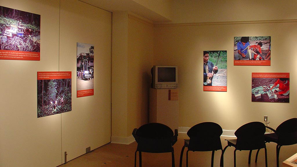 black chairs, photos of the rainforest on a wall