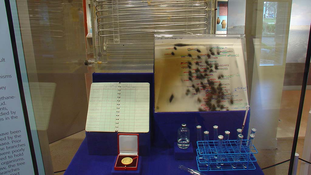 glass container with many fluffy dots in it, a gridded notebook, test tubes, a bottle, and a medal