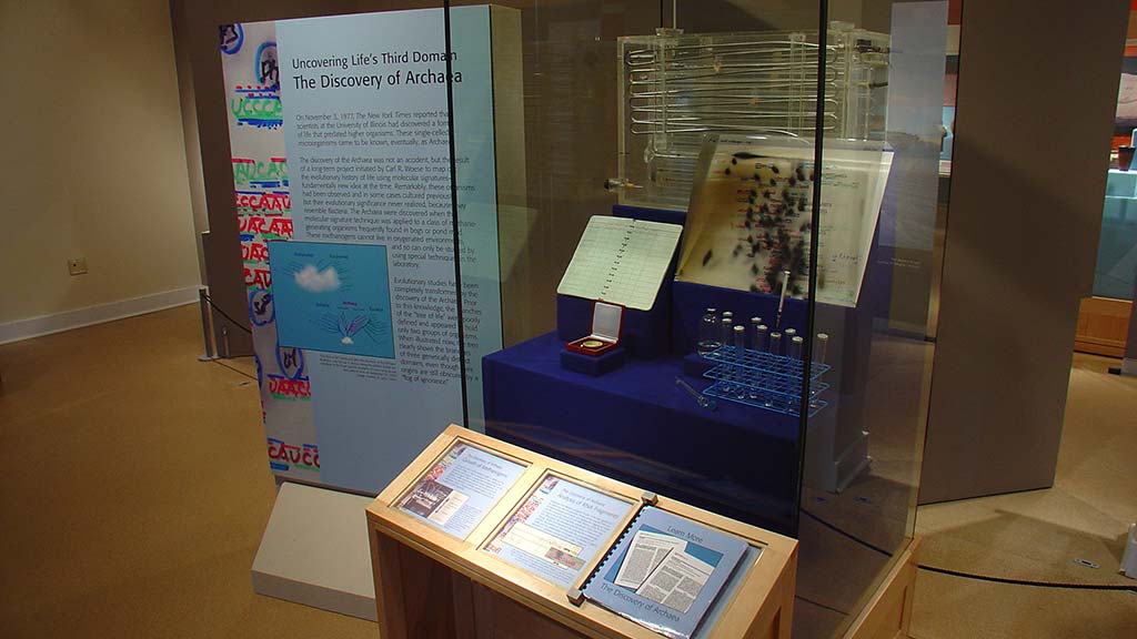 gallery overview